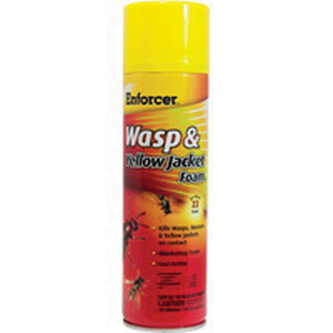 WASP AND YELLOW JACKET FOAM