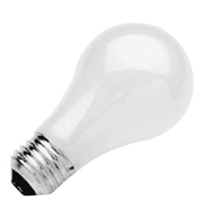 ROUGH SERVICE BULB